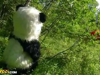 Малко червен езда качулка чукане с panda в на дърво филм